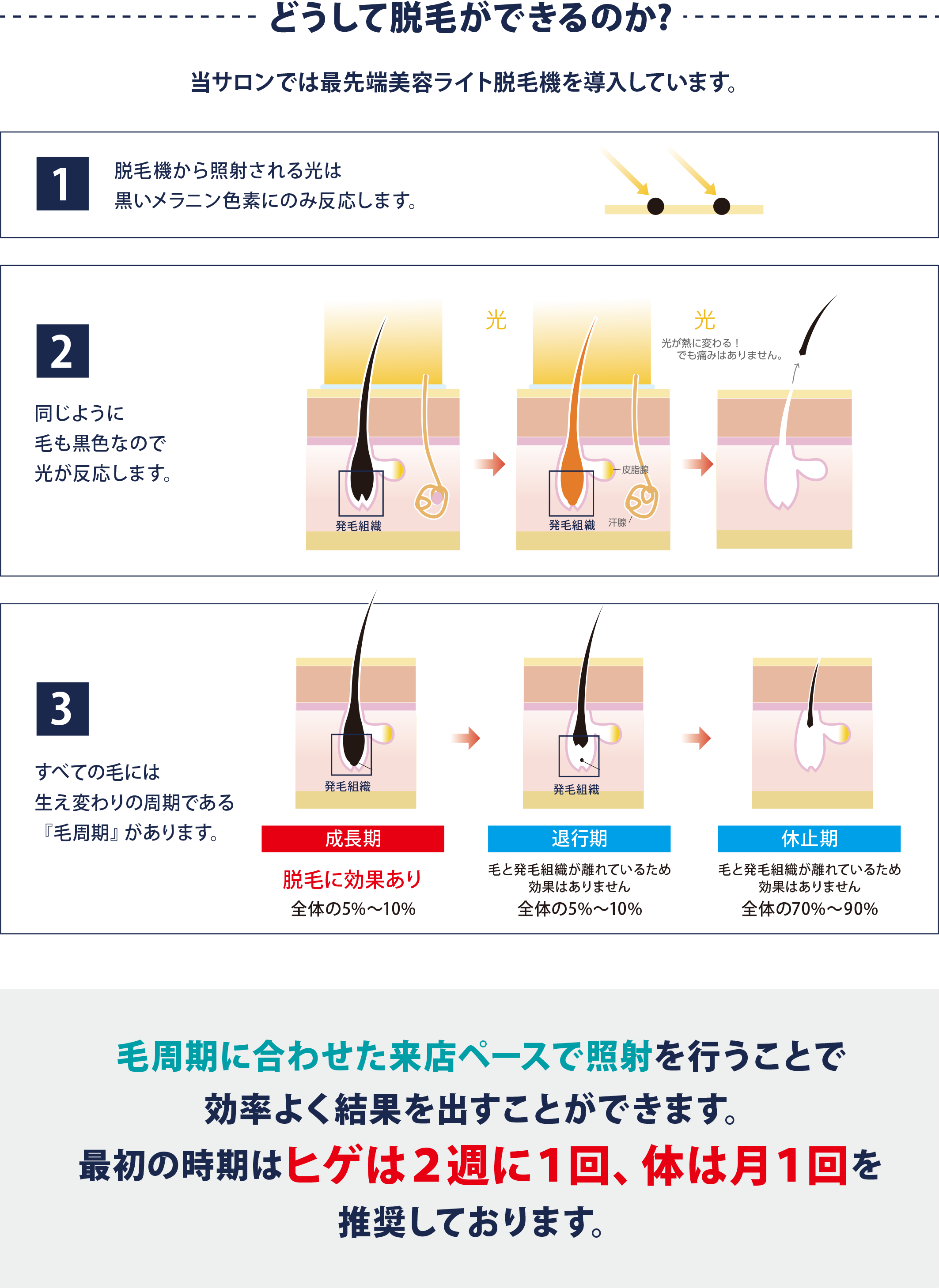 光脱毛 フーレセラピーサロンtiratore 公式